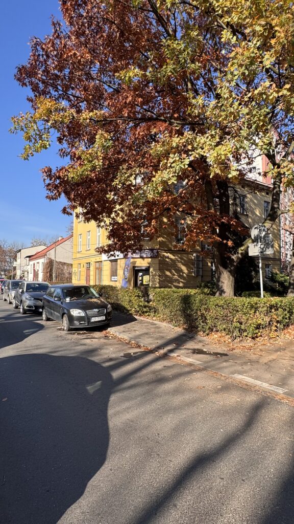 Poddasze do adaptacji 179 m2, Kraków image00011