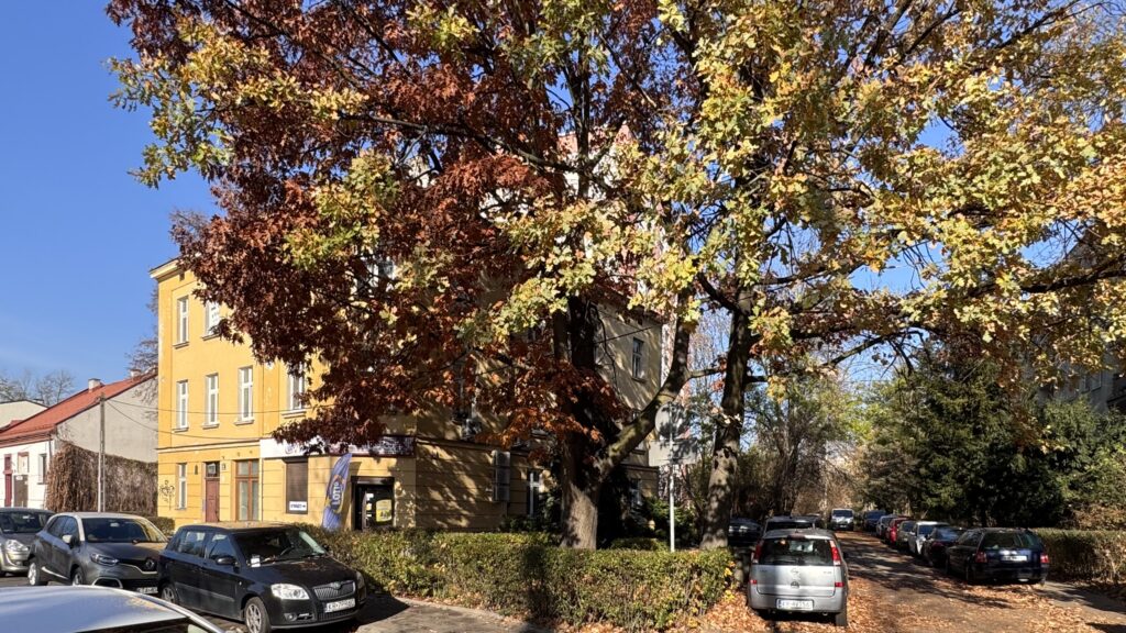 Poddasze do adaptacji 179 m2, Kraków image00012