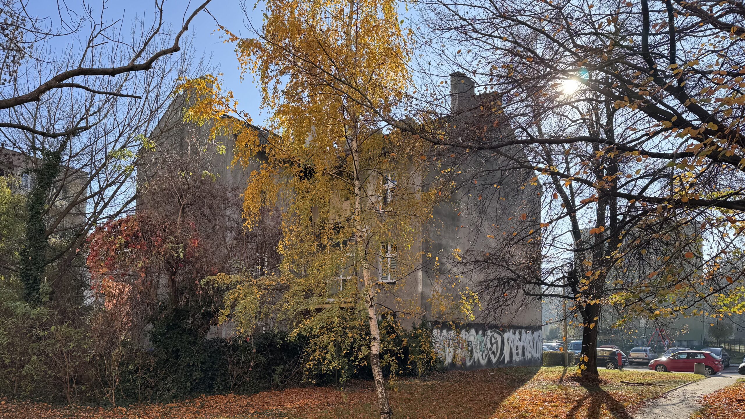 Poddasze do adaptacji Kraków